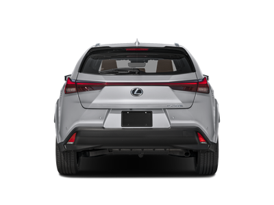 2025 Lexus UX 300h Premium