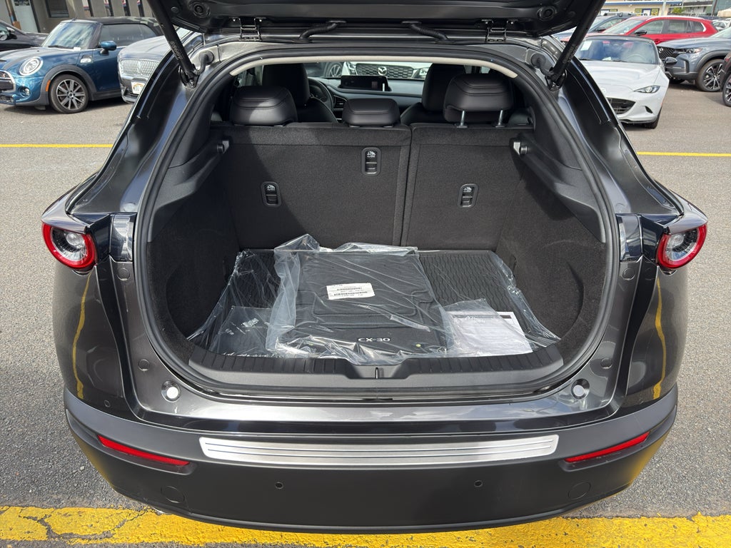 2026 Mazda Mazda CX-30 2.5 S Premium AWD