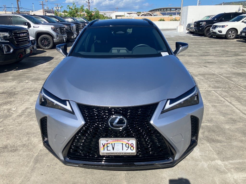 2025 Lexus UX 300h Premium